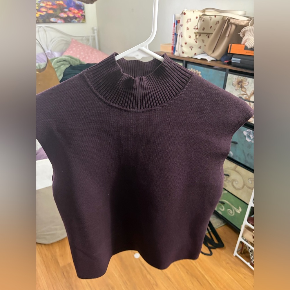 Express Dark Purple Turtleneck Sweater